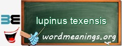 WordMeaning blackboard for lupinus texensis